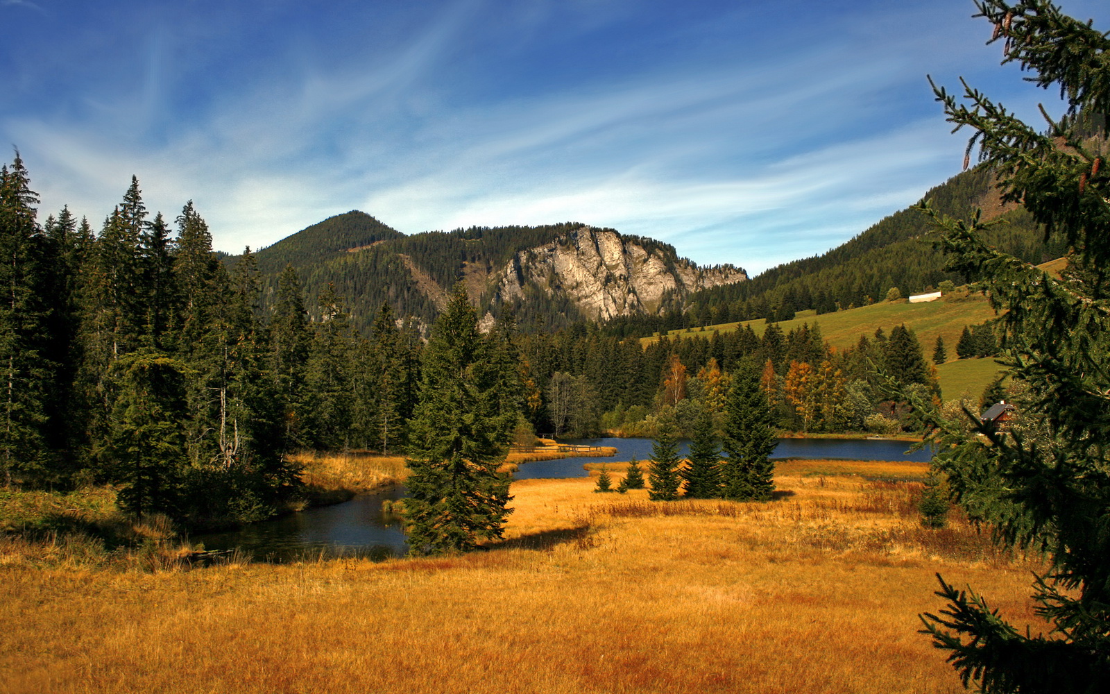 两重门,卫冕者血战黄蜂,新纪元于数据深渊觉醒