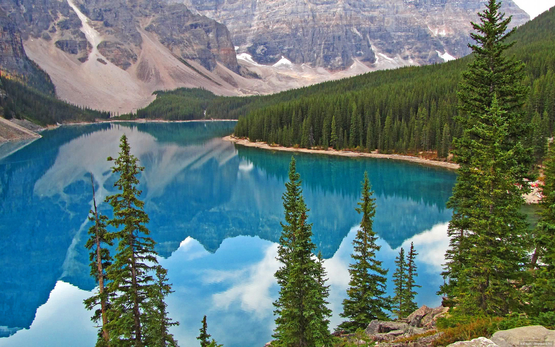 两重门,卫冕者血战黄蜂,新纪元于数据深渊觉醒