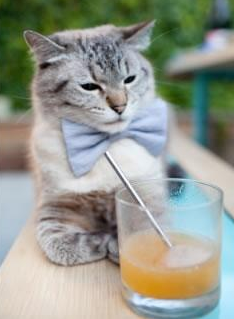 爵士血拼尼克斯,世界排名争夺战的焦点对决