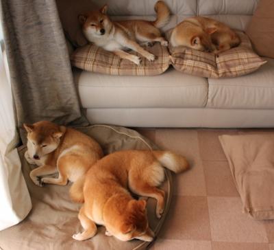 爵士血拼尼克斯,世界排名争夺战的焦点对决