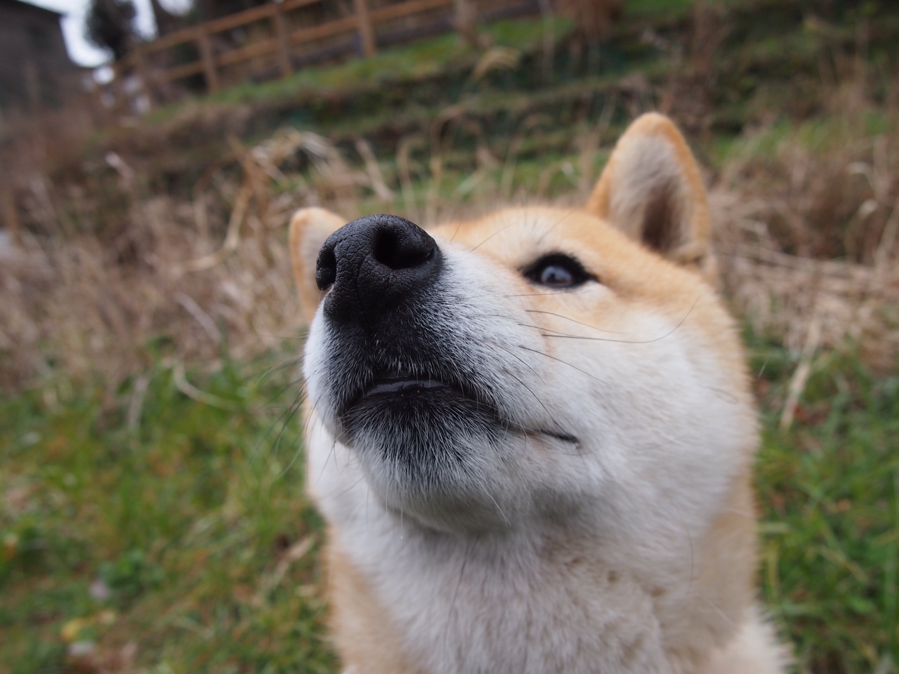 征服者的双重奏，当恩比德在平行时空中同时接管比赛