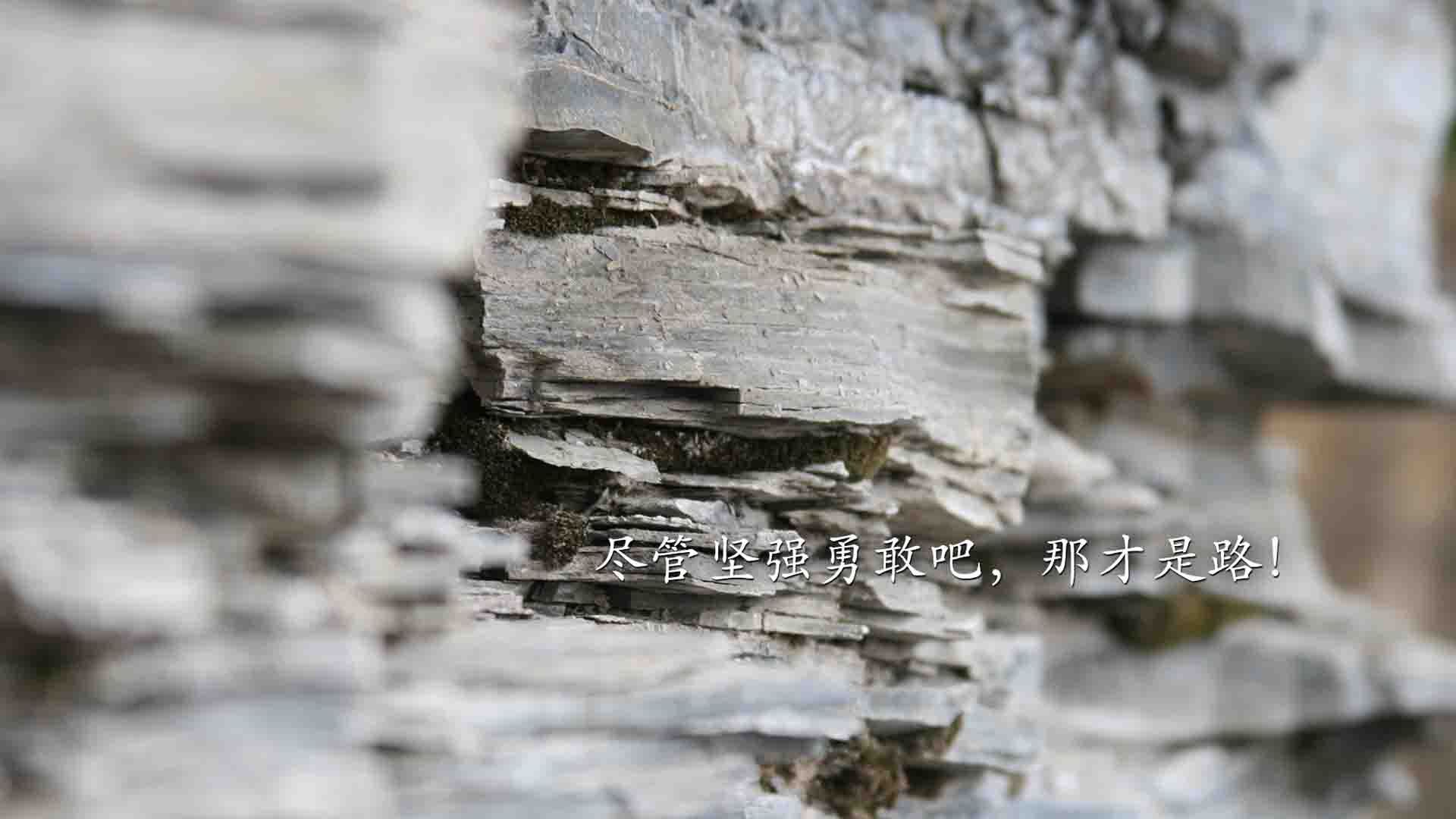 防守崩塌！热火为何败走克利夫兰？莫兰特一球成关键先生