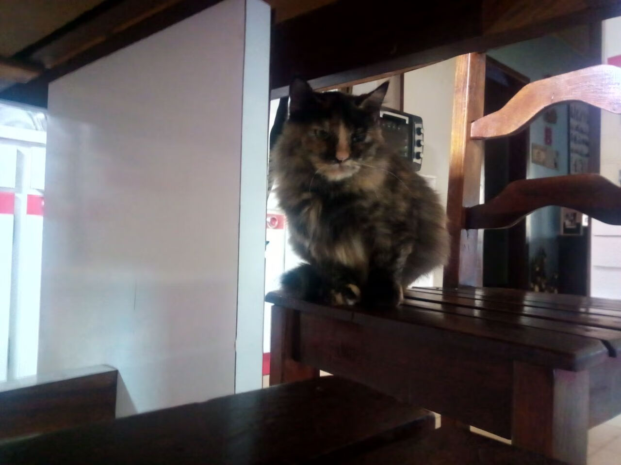 冰与火之歌,德甲争冠战中的芬兰收割牙买加瞬间