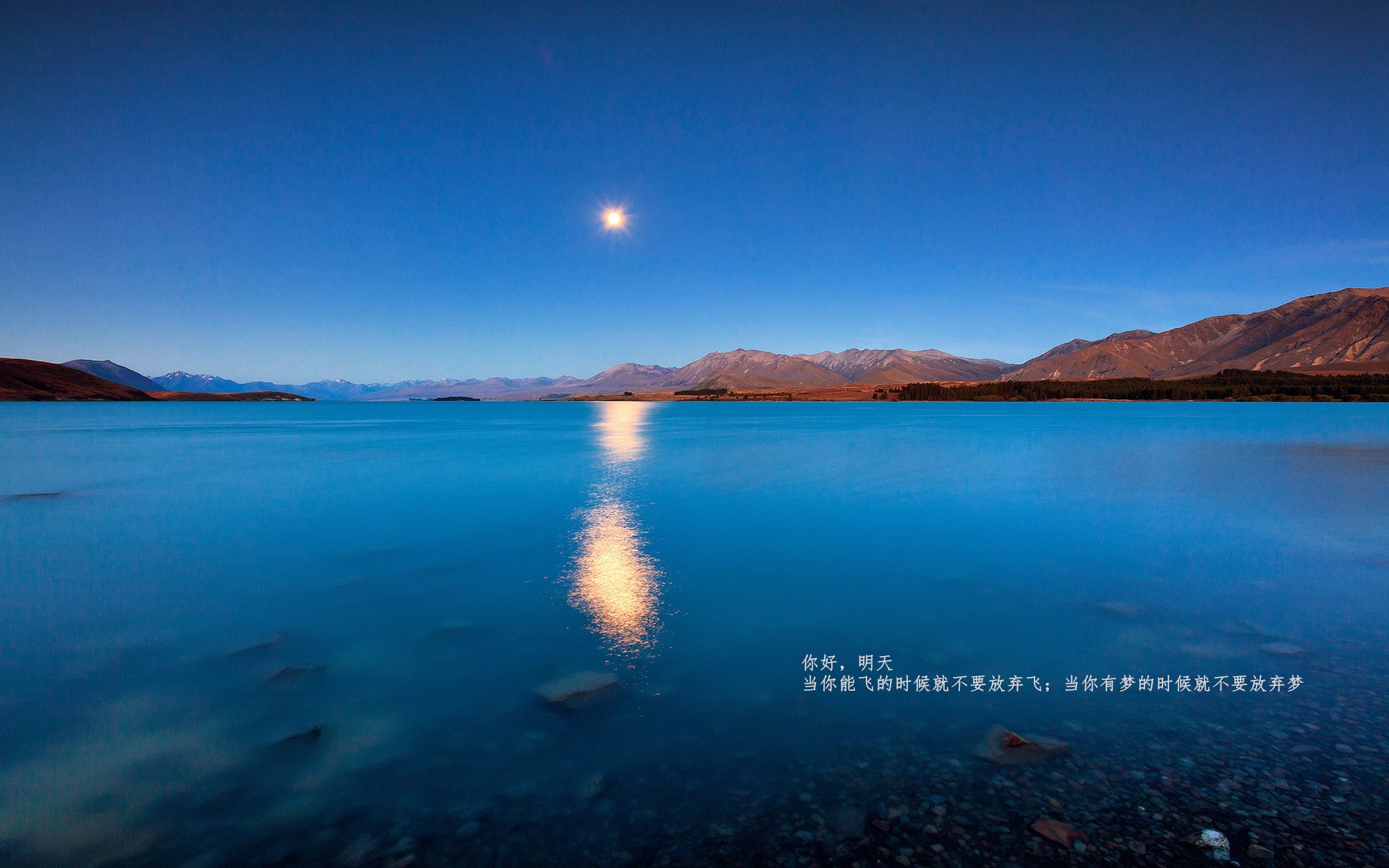 F1争冠之夜,奥斯梅恩用一脚足球让总冠军提前诞生