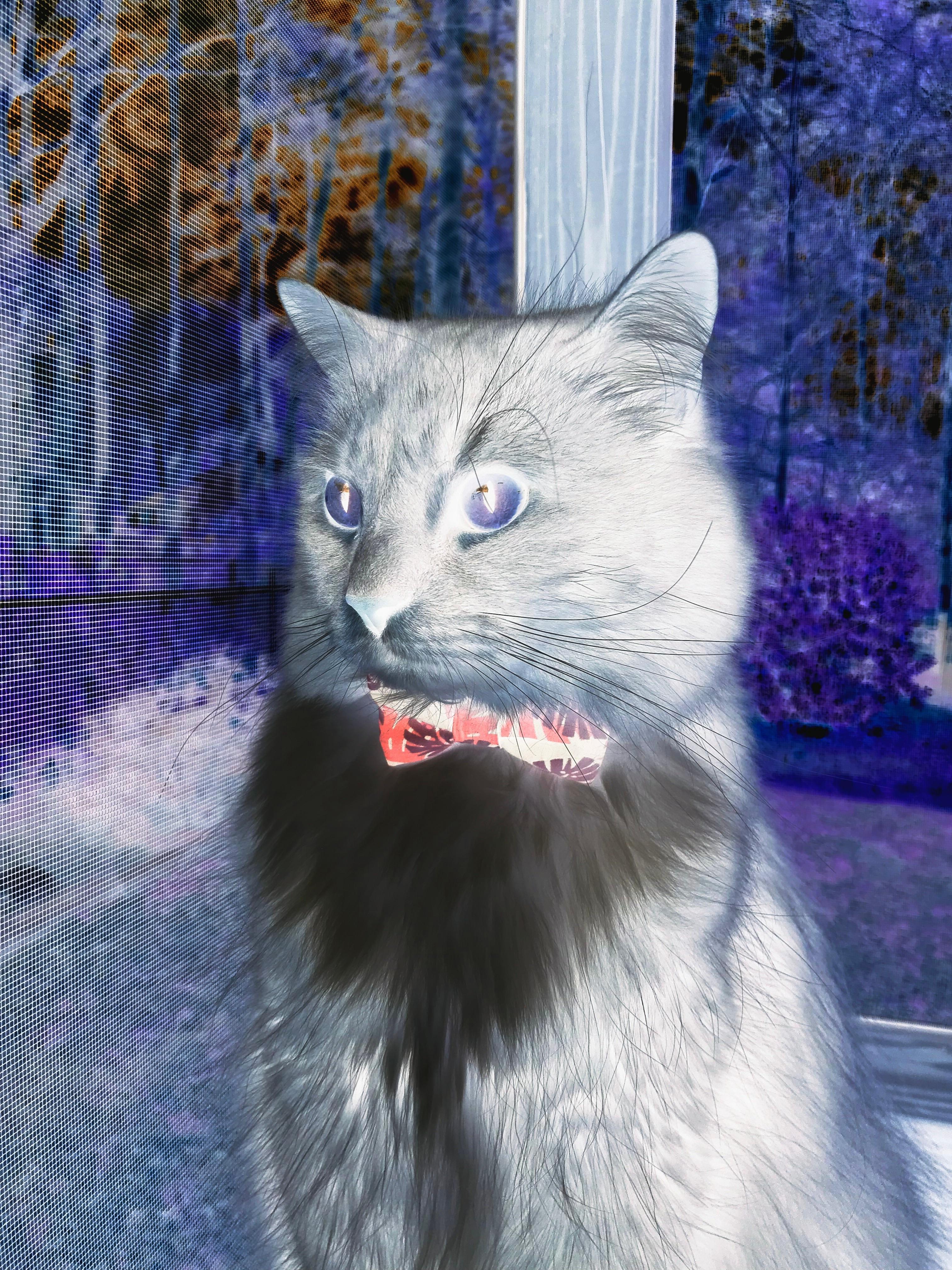 西甲国家德比焦点战的启示，深圳队如何以稳字诀拿下魔术般的挑战