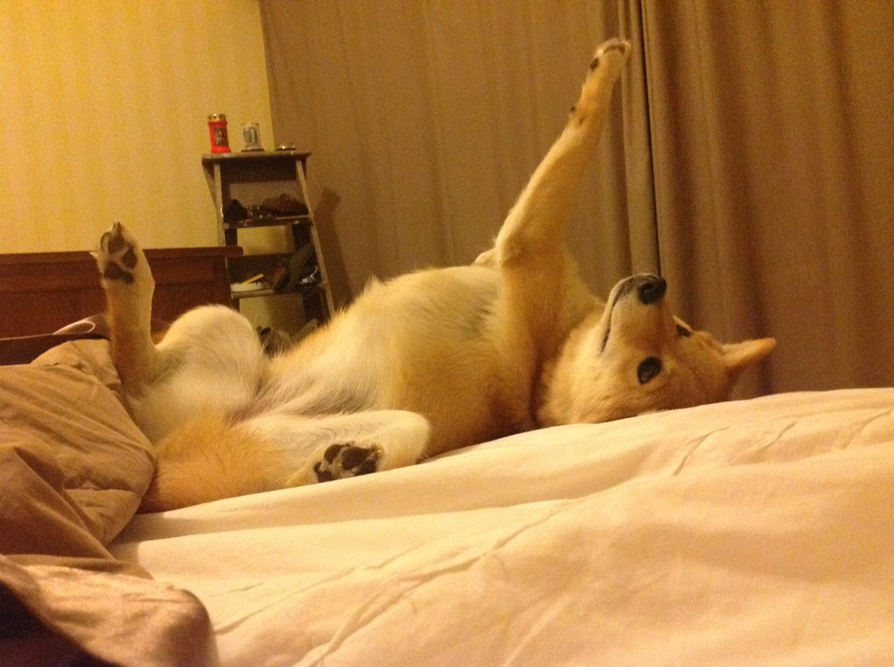 数字世界里的绿茵刀光,一场英超争冠焦点战与浙江队压哨击败骑士的平行共鸣