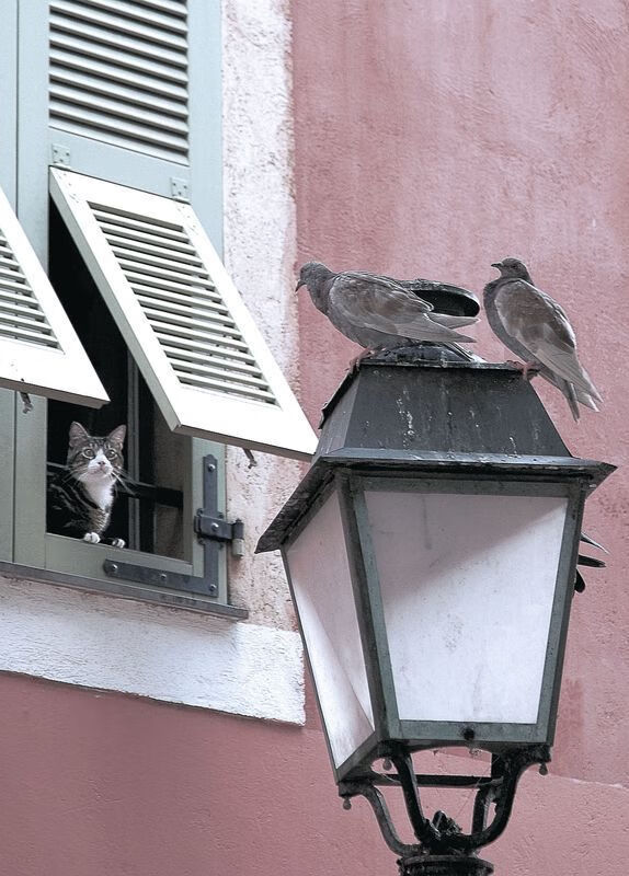 王者降临，杜兰特如鏖战深圳队的国王，在NBA季后赛接管比赛